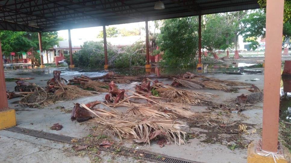 En Ahome alumnos del nivel básico retoman clases en escuelas sin luz; 4 siguen cerradas 