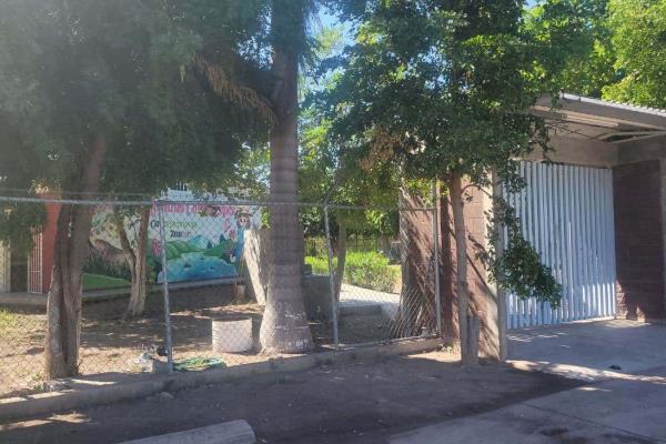 Proliferación de mosquitos en escuelas de Ahome dificulta el regreso a clases presenciales