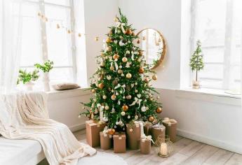 Cuando puedo poner el árbol de navidad en casa - Esta es la fecha exacta