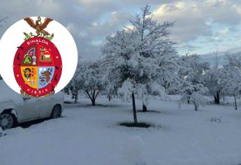 «El congelador» llegó a Sinaloa, conoce los otros cinco estados con nevadas