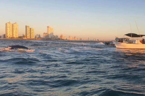 Marina y Policía Acuática rescatan a 6 personas de un yate que se hundía en Mazatlán