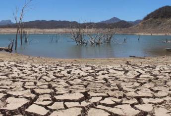 Sinaloa ante la peor sequía de su historia 