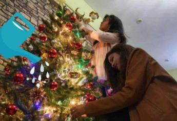 ¿Cómo hacer para que dure más el árbol de Navidad natural y no se seque?