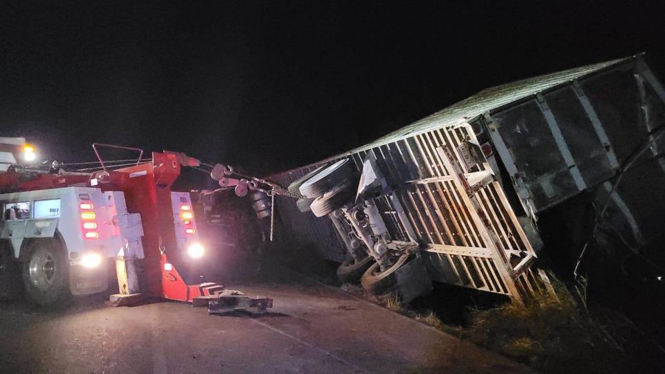 Se arma rapiña tras accidente de tráiler; transportaba leche en el Ejido 20 de Noviembre de Ahome