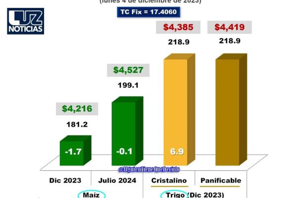 Trigo gana 6.9 dólares