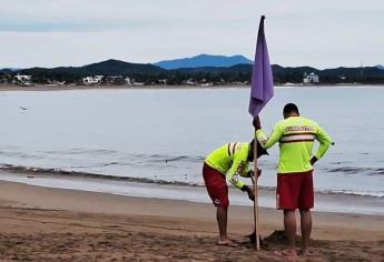 PC Jalisco coloca bandera morada tras mortal ataque de tiburón en Melaque