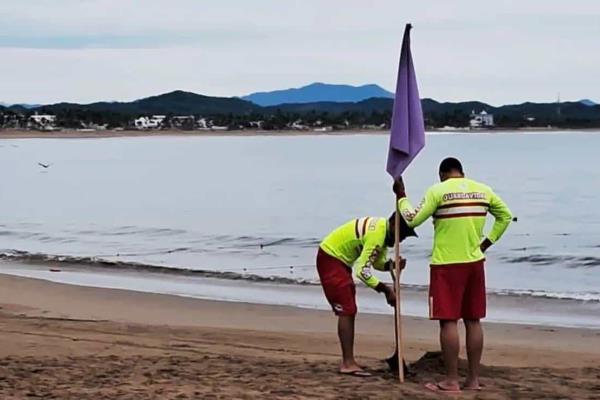 PC Jalisco coloca bandera morada tras mortal ataque de tiburón en Melaque