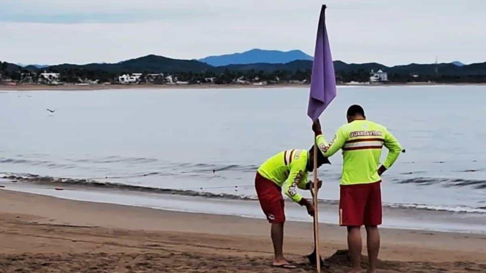 PC Jalisco coloca bandera morada tras mortal ataque de tiburón en Melaque