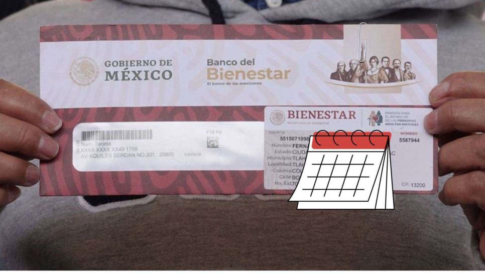 Pensión Bienestar 2024: ¿Te quieres registrar? Este es el calendario