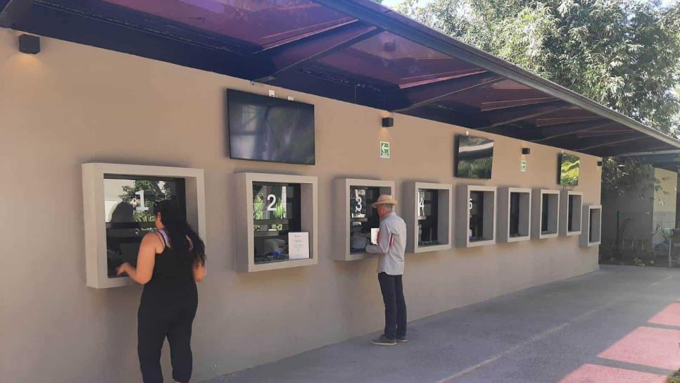 Gran Acuario Mazatlán activa esta promoción por vacaciones de decembrinas