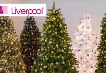 Arbolitos de Navidad en Liverpool tienen increíbles descuentos de hasta 70 % por ciento  
