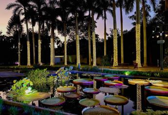 Esto cuesta el recorrido de luces en el Jardín Botánico de Culiacán 