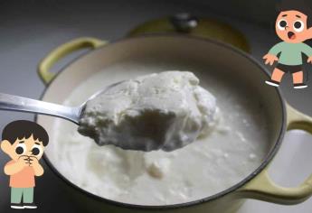 Estos yogures griegos no debe ser consumidos por niños, según Profeco 