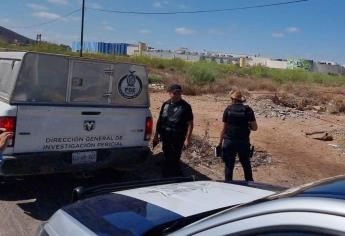 Sicarios «levantan» a tres trabajadores del Ayuntamiento de Guasave