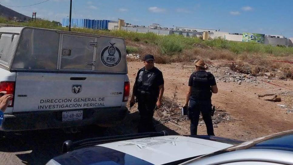 Sicarios «levantan» a tres trabajadores del Ayuntamiento de Guasave