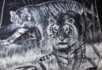 ¿Te acuerdas de las cobijas de tigre? Estas es la razón por la que ya se venden las originales