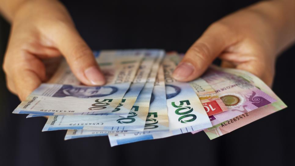 Salario Mínimo 2024: esto es lo que debes ganar según tu profesión u oficio Salario Mínimo 2024: esto es lo que debes ganar según tu profesión u oficio