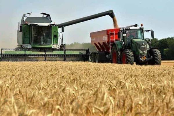 Segalmex no ha terminado de pagar a trigueros y maiceros de Sinaloa
