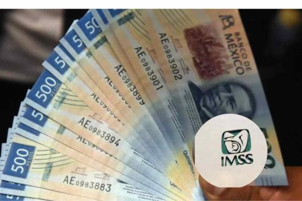 Pensión IMSS: Advierte que algunos pensionados se pueden quedar sin sus pagos