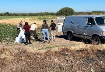 Encintado de la cabeza a los pies localizan a persona sin vida en Guasave