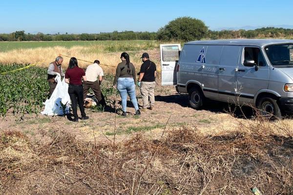 Encintado de la cabeza a los pies localizan a persona sin vida en Guasave