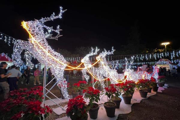 ¡Deslumbrante Arranque Navideño! Villa Iluminada brilla en el Parque Central de Mazatlán
