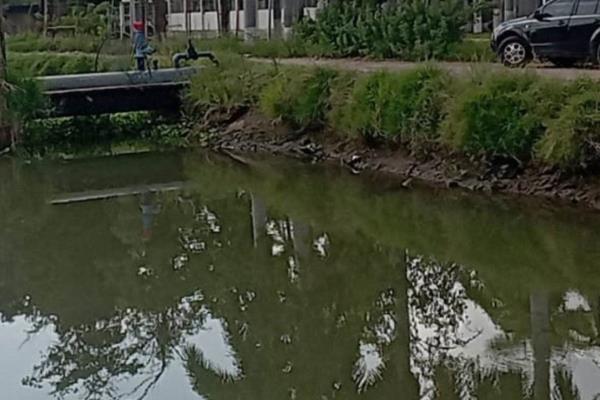 Basura contamina y taponea canales de riego para uso agrícola y consumo humano en Los Mochis 
