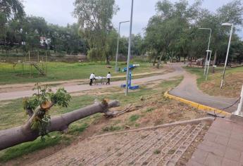 «El Gringo» tenía dos días asesinado en el Parque Las Riberas de Culiacán