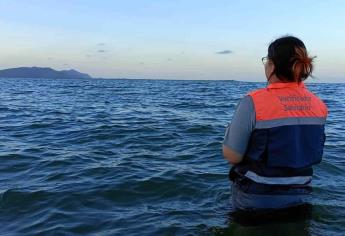 Coepriss: playas de Sinaloa son aptas para bañistas a pesar de contaminación en Olas Altas