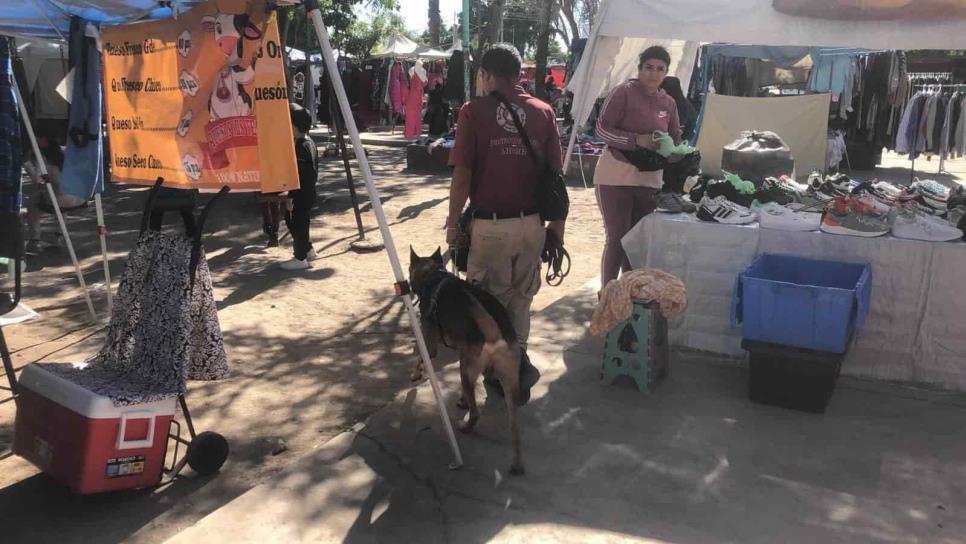 Con perros entrenados buscan pirotecnia en tianguis de Ahome