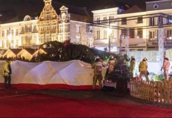 Triste navidad, muere una persona tras caerle árbol navideño de 20 metros en Bélgica