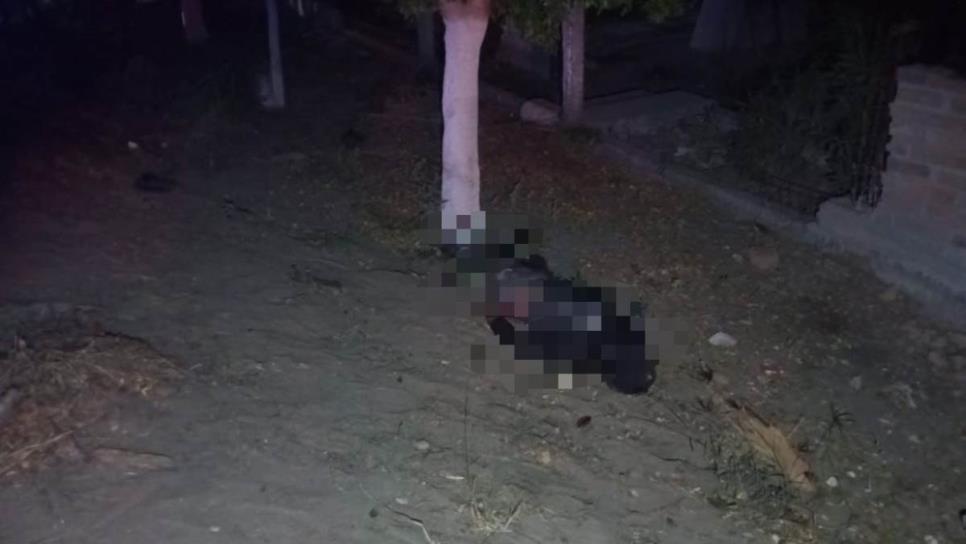Joven pierde la vida en Guasave al derrapar su motocicleta en Navidad Joven pierde la vida en Guasave al derrapar su motocicleta en Navidad