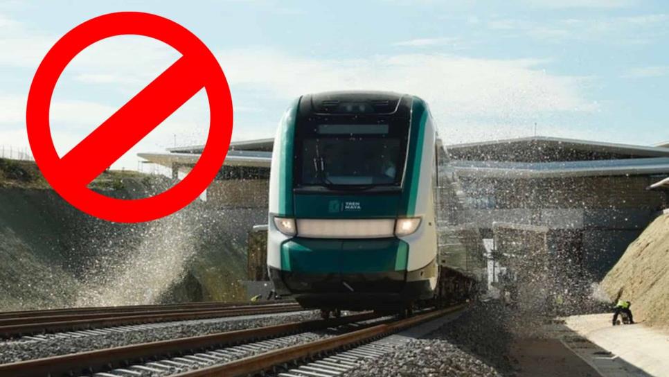 Tren Maya, ¿por qué no habrá viajes hasta enero de 2024?