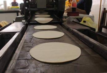 Que no te engañen, kilo de tortillas en Sinaloa no incrementó, este es su precio estándar 