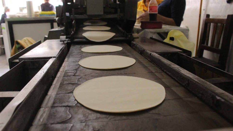 Que no te engañen, kilo de tortillas en Sinaloa no incrementó, este es su precio estándar 