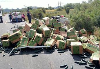 Tríaler cargado de pepinos termina volcado sobre la carretera Libre Mazatlán-Culiacán