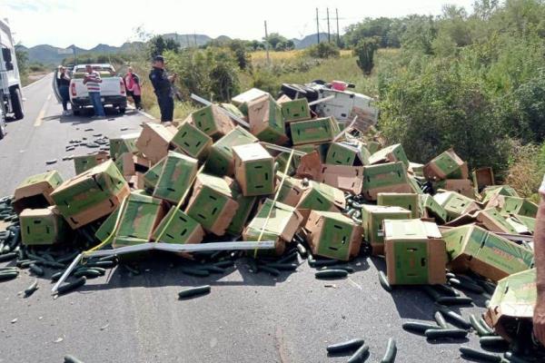 Tríaler cargado de pepinos termina volcado sobre la carretera Libre Mazatlán-Culiacán