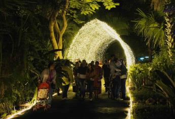 Última oportunidad para disfrutar el asombroso mundo de la Navidad en el Botánico