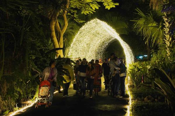Última oportunidad para disfrutar el asombroso mundo de la Navidad en el Botánico