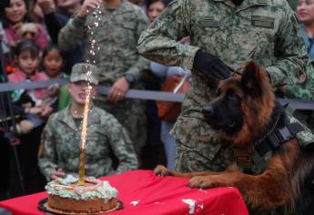 Arkadas, el perrito que donó Turquía, así celebró su primer aniversario |VIDEO