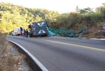 Vuelca camión cargado de chile en la carretera Mazatlán-Durango, en Concordia