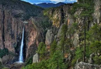 ¿Cuánto mide la cascada Basaseachi? La belleza natural que ha sorprendido por las nevadas