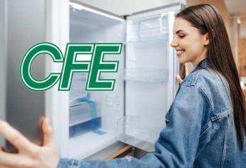 Estos son los requisitos para comprar un refrigerador ahorrador con la CFE