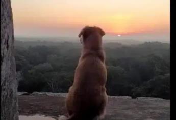 Ella es «Osita», la guardiana de la pirámide de Chichén Itzá |VIDEO