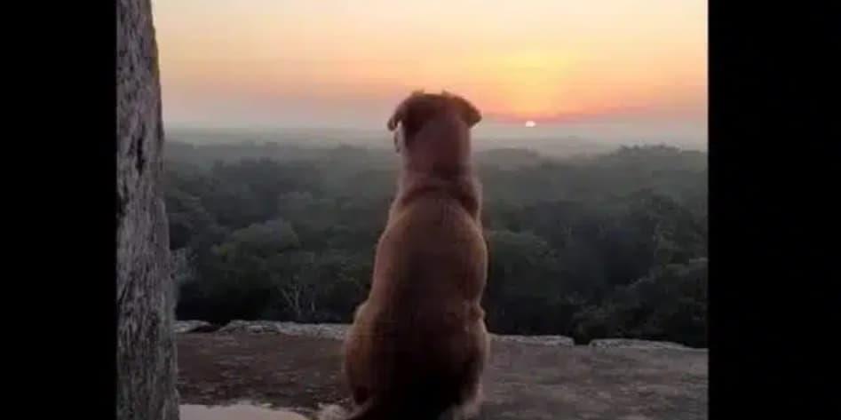 Ella es «Osita», la guardiana de la pirámide de Chichén Itzá |VIDEO