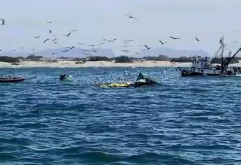 Sin rastro del pescador desparecido en Ahome, inician trabajos de reflotación del barco 