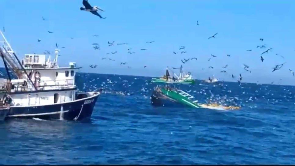 Hija de pescador que sigue desaparecido: Esperamos que un buzo pueda ingresar a donde está mi papá