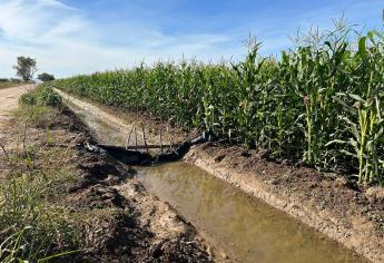 Agricultores intensifican programa de rescate de agua por sequía en Sinaloa 