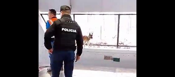 Perrito amenaza con lanzarse a las vías del metro y provoca caos en la línea 3 |VIDEO