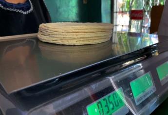 Hasta en 28 pesos se vende el kilo de tortillas en Sinaloa; ¿A qué se debe este incremento?